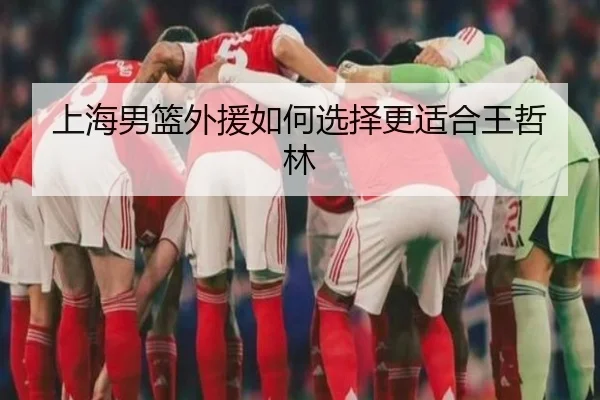 上海男篮外援如何选择更适合王哲林 - huatihui